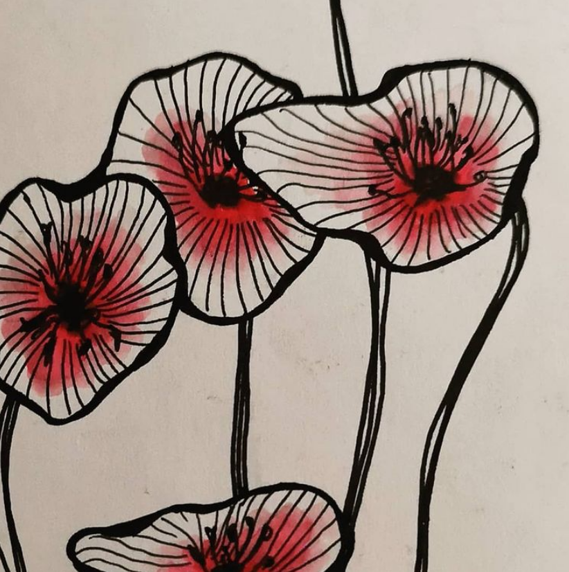 ink and watercolour poppies