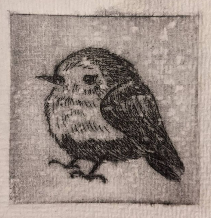 zincplate etching robin